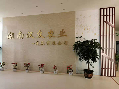 廠房風(fēng)貌 (2)